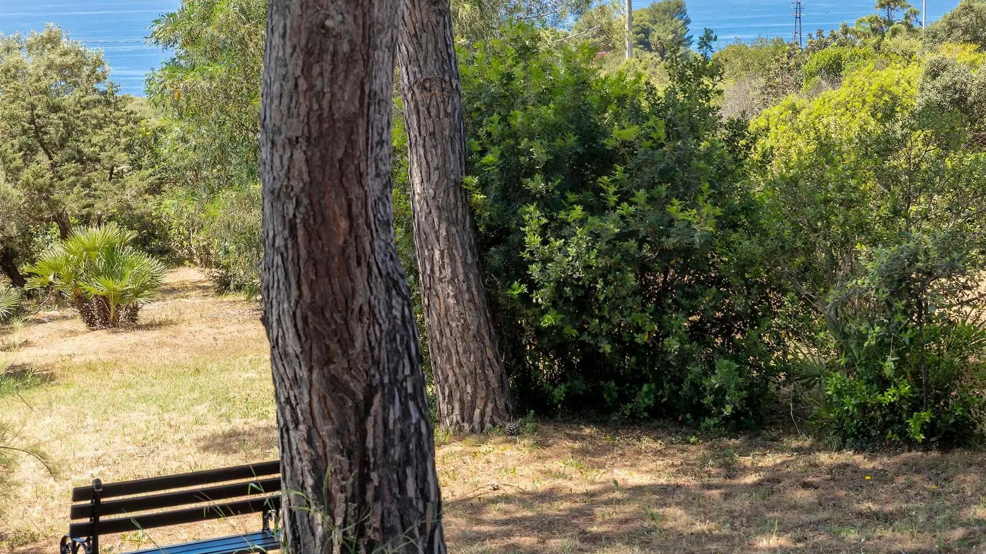 Alghero Villa Barranch con piscina vista mare per 6 persone