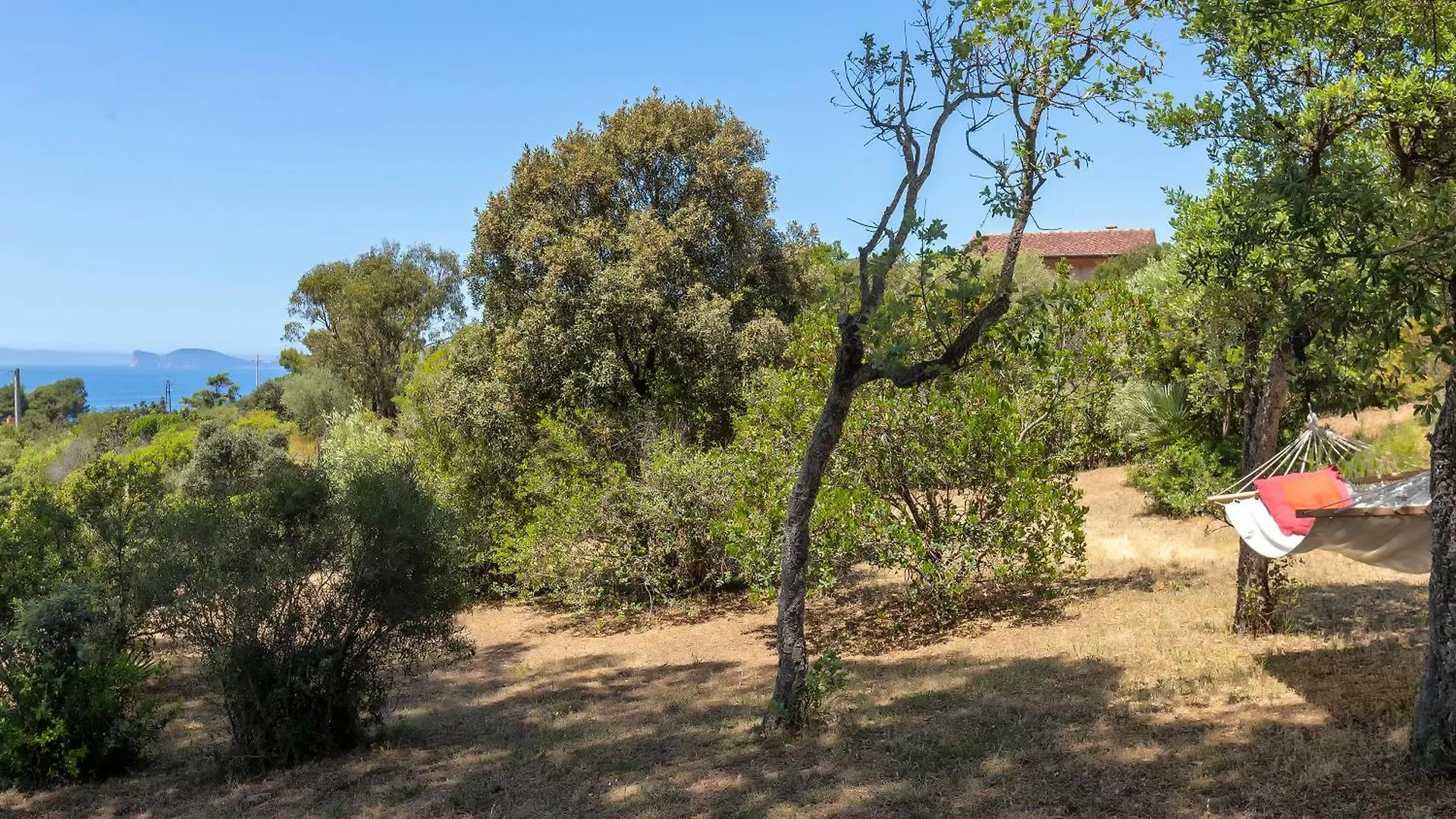 Alghero Villa Barranch con piscina vista mare per 6 persone 0*,  Italia
