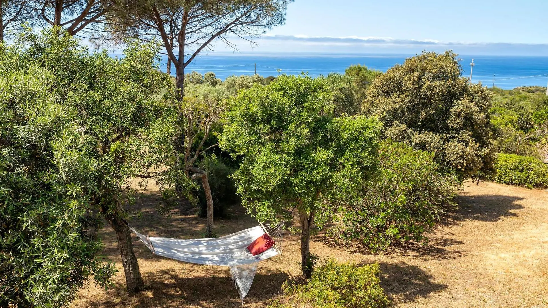 Alghero Villa Barranch con piscina vista mare per 6 persone Italia